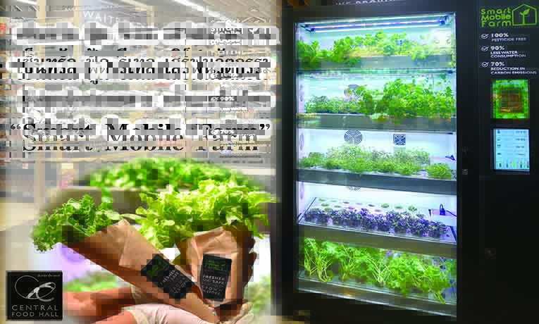 “Smart Mobile Farm” ตู้ปลูกผักปลอดสาร ส่งตรงความสดใหม่เพียงเอื้อมมือ